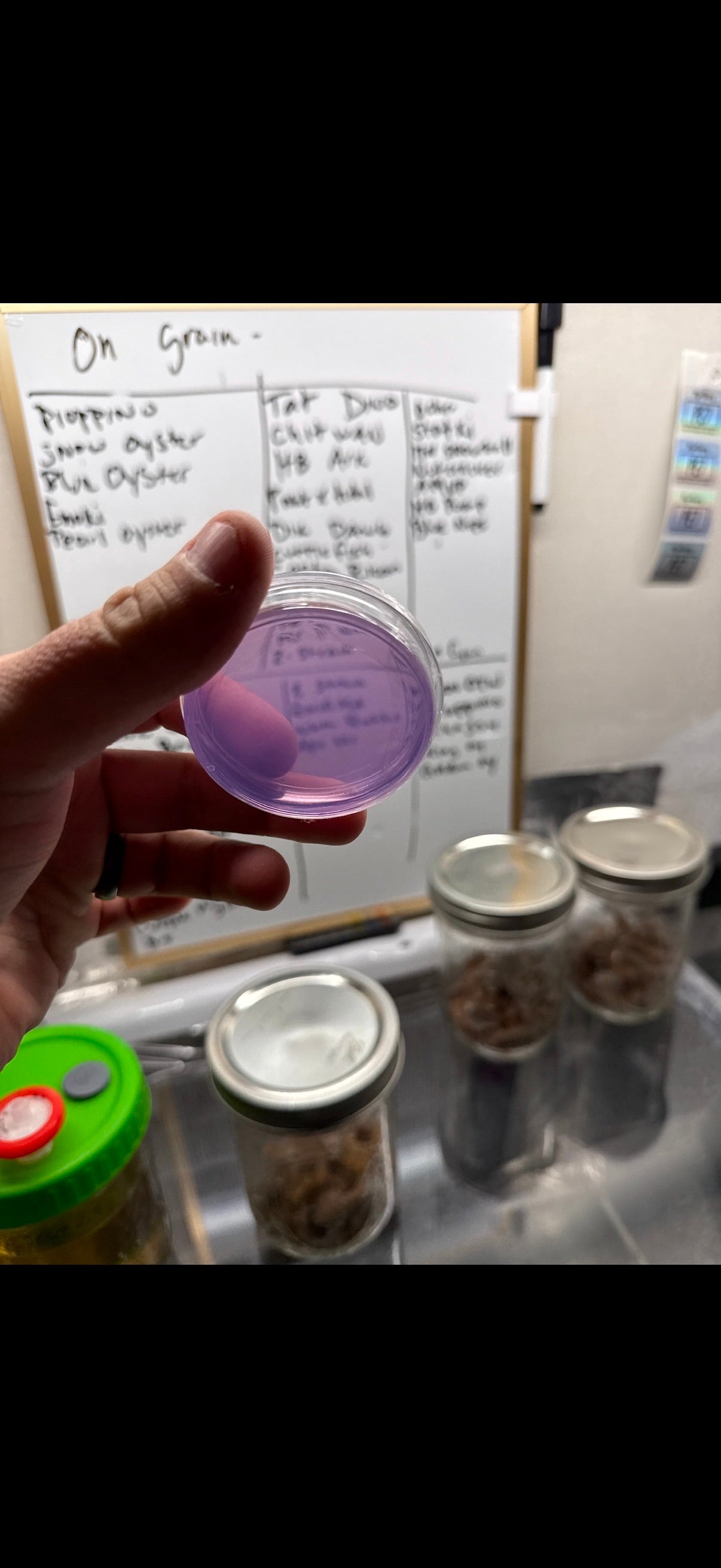 PT MycoBisping Plates