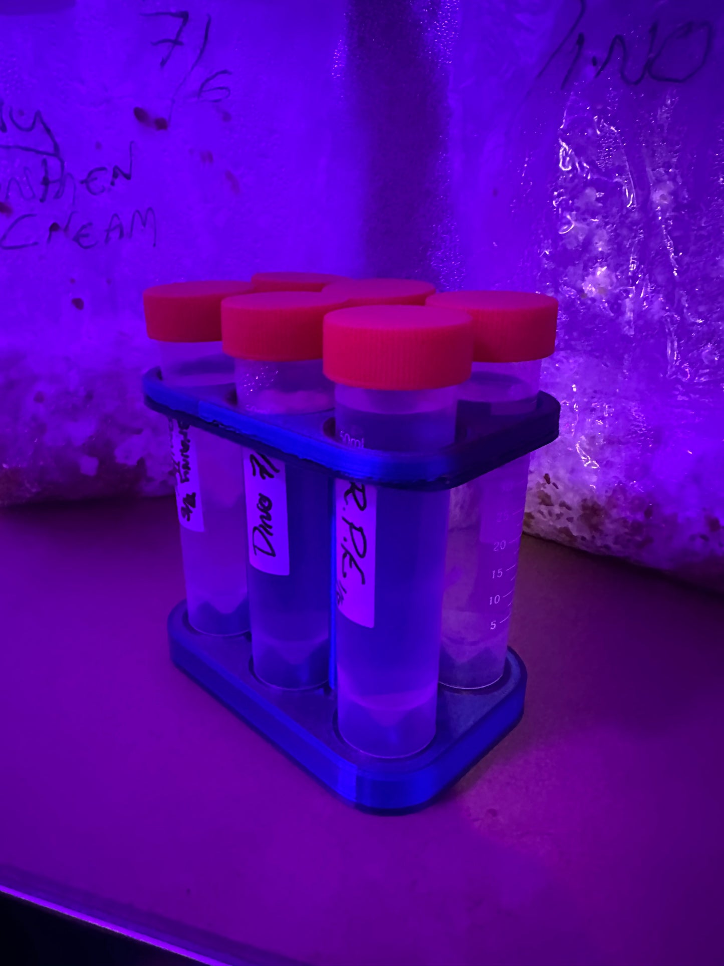 Psycho Platy’s 50mL Tube Holder – 6 Tube Capacity