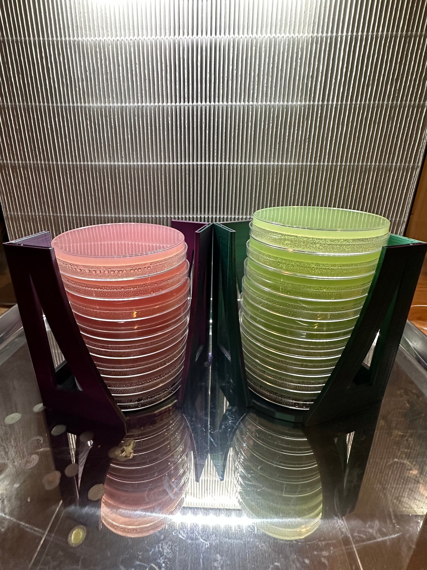 🍄 Psycho Platy’s Custom Agar Plate Holders 🍄