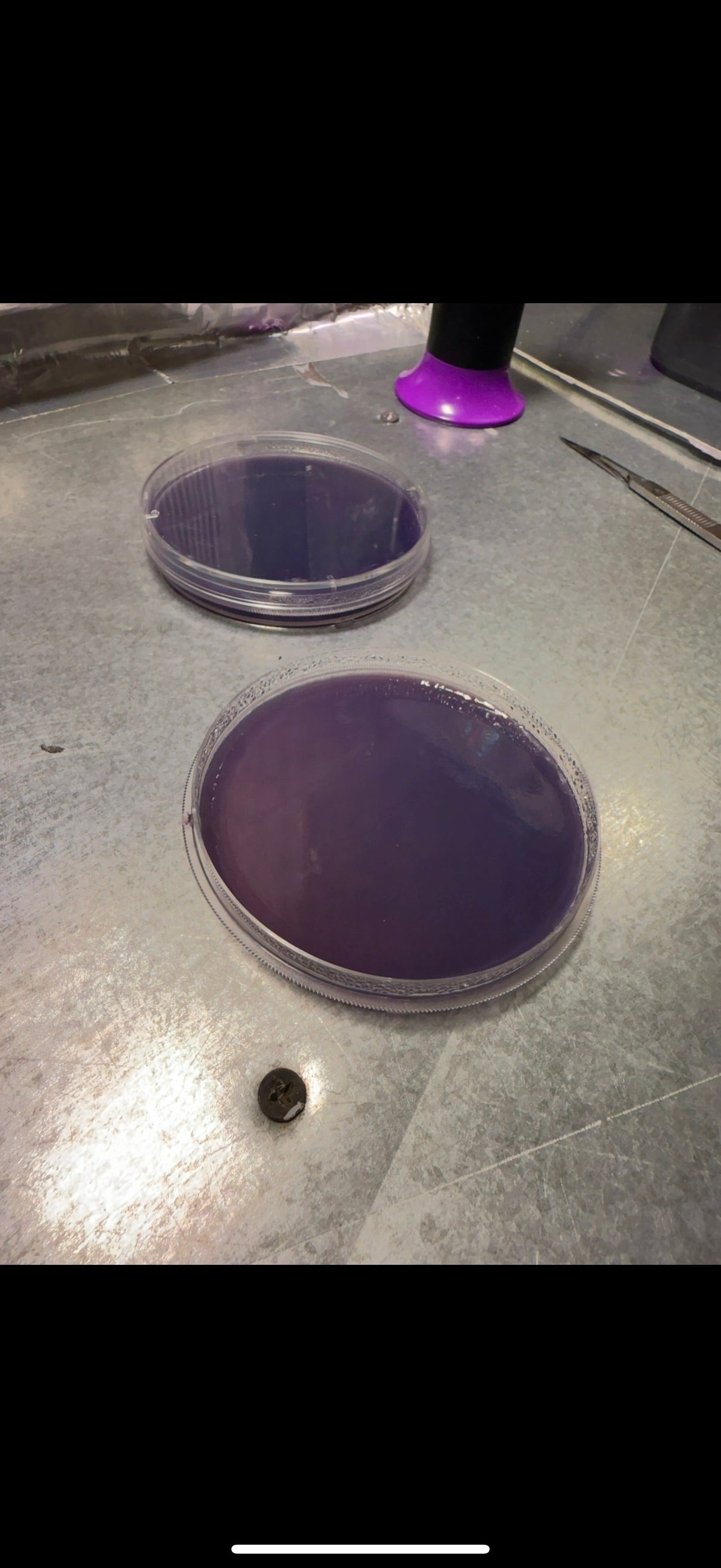PT MycoBisping Plates