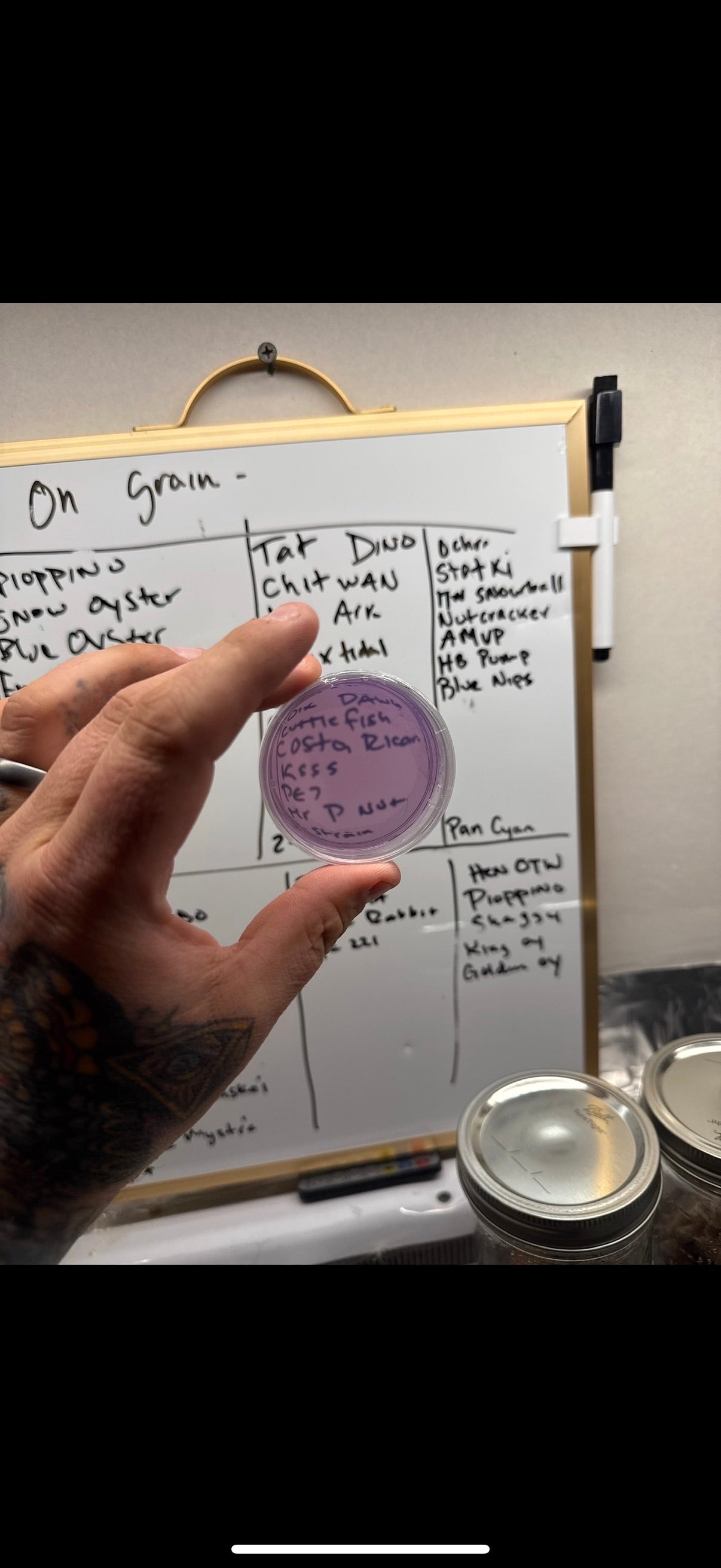PT MycoBisping Plates
