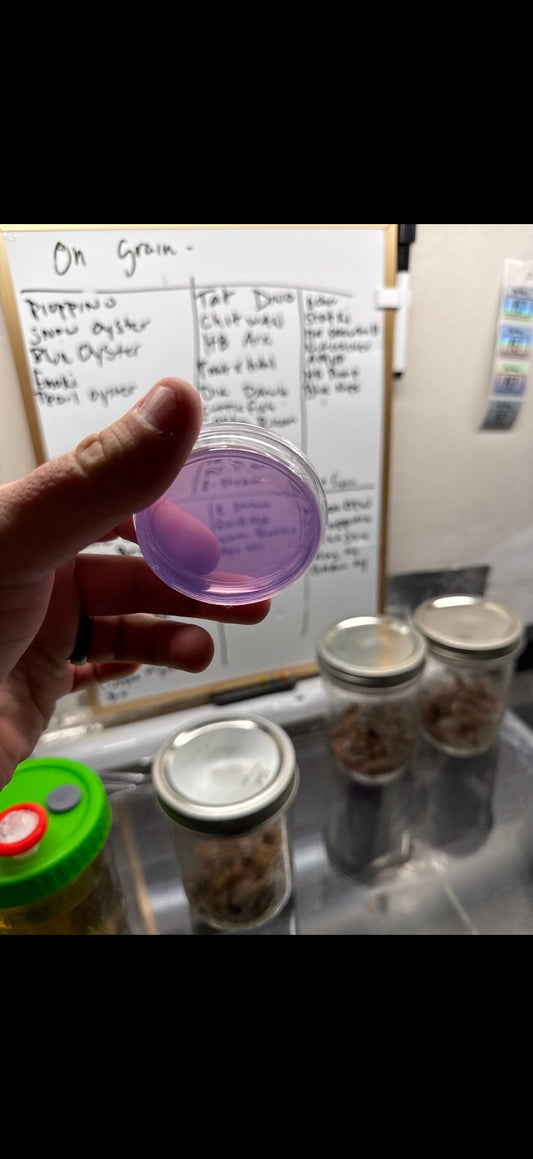 PT MycoBisping Plates